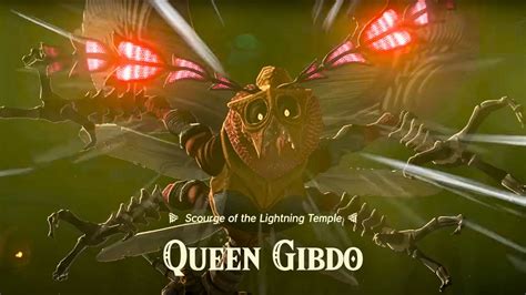 totk gerudo boss|totk queen gibdo update.